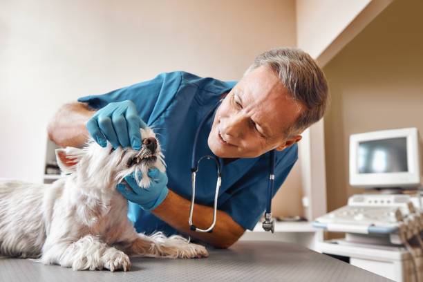 Best After-Hours Dental Care in Tullahoma, TN